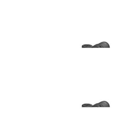 Vector Optics Veyron 6-24x44IR SFP kompaktni puškarski ciljnik